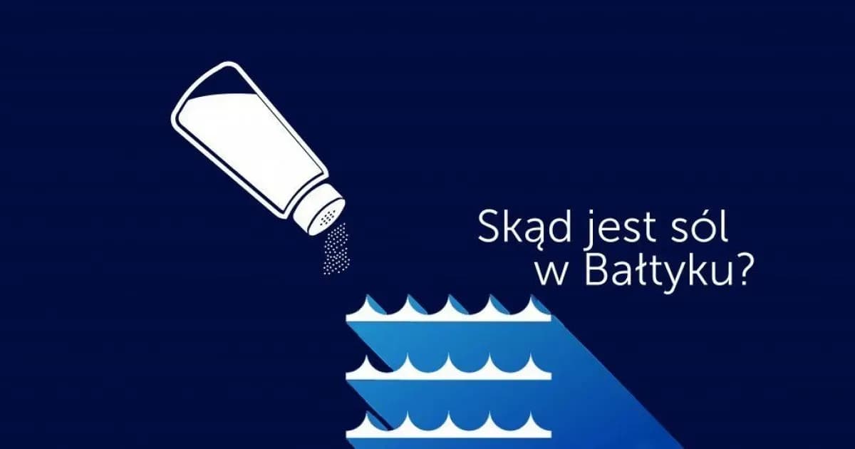 Dlaczego Bałtyk jest słabo zasolony? Odkryj zaskakujące przyczyny