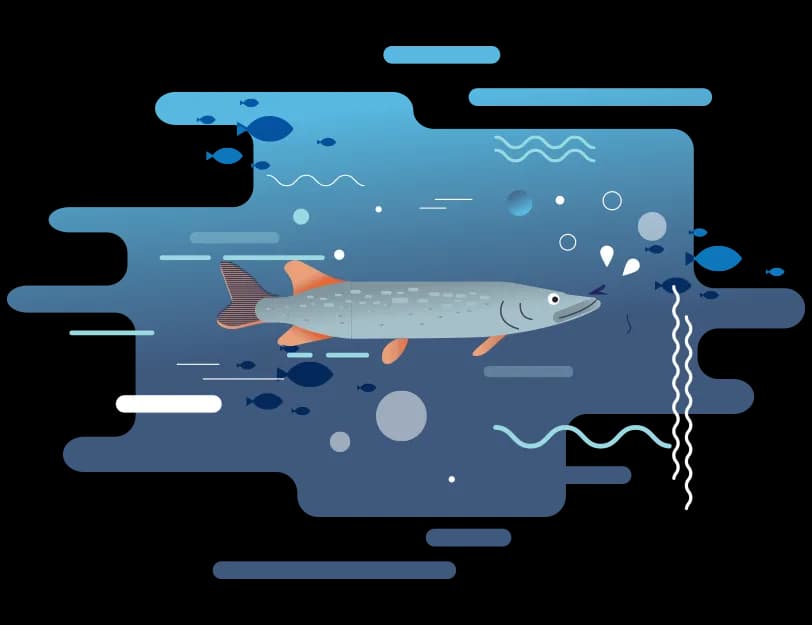 Jakie ryby są w Bałtyku? Odkryj tajemnice morskich gatunków